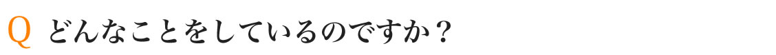どんなことをしているのですか?