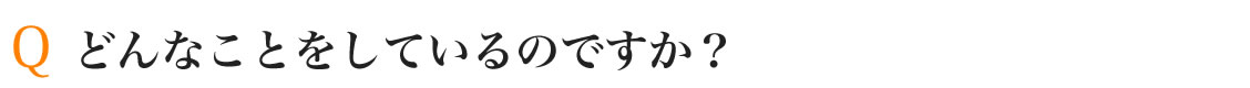 どんなことをしているのですか？